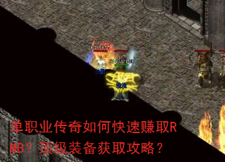 ��ְҵ������ο���׬ȡRMB������װ����ȡ���ԣ�
