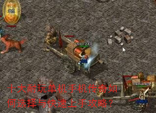 ʮ�����浥���ֻ��������ѡ����������ֹ��ԣ�