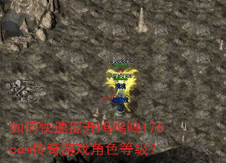 如何快速提升呜呜呜176com传奇游戏角色等级? 如何快速提升呜呜呜176com传奇游戏角色等级?