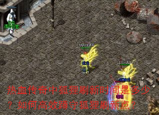 热血传奇中狐狸刷新时间是多少?如何高效蹲守狐狸刷新点? 热血传奇中狐狸刷新时间是多少?如何高效蹲守狐狸刷新点?