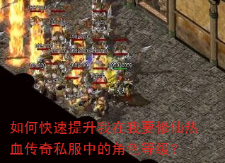 如何快速提升我在我要修仙热血传奇私服中的角色等级? 如何快速提升我在我要修仙热血传奇私服中的角色等级?