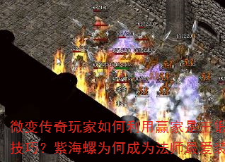 ΢�䴫������������Ӯ����������PK���ɣ��Ϻ���Ϊ�γ�Ϊ��ʦ�װ����