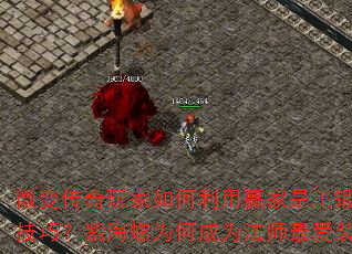 ΢�䴫������������Ӯ����������PK���ɣ��Ϻ���Ϊ�γ�Ϊ��ʦ�װ����