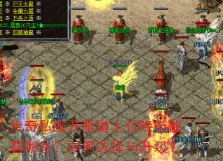 传奇私服开服道士召唤技能有哪些?如何选择与升级? 传奇私服开服道士召唤技能有哪些?如何选择与升级?