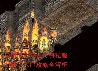 ������ظ��Ŵ���˽�����������Ź���ȫ����