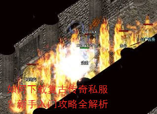 ������ظ��Ŵ���˽�����������Ź���ȫ����