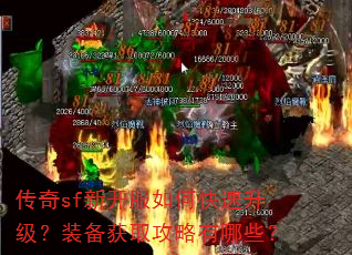 ����sf�¿�����ο���������װ����ȡ��������Щ��