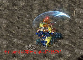 С����δ��㿪ʼѧϰPK���ɣ�