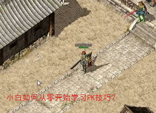С����δ��㿪ʼѧϰPK���ɣ�