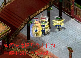 如何快速提升合击传奇手游中的角色等级? 如何快速提升合击传奇手游中的角色等级?