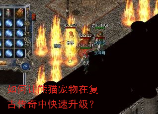如何让熊猫宠物在复古传奇中快速升级? 如何让熊猫宠物在复古传奇中快速升级?