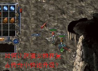 如何让熊猫宠物在复古传奇中快速升级? 如何让熊猫宠物在复古传奇中快速升级?