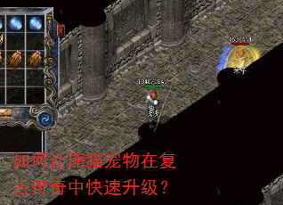 如何让熊猫宠物在复古传奇中快速升级? 如何让熊猫宠物在复古传奇中快速升级?