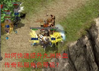 如何快速提升九洲热血传奇私服角色等级? 如何快速提升九洲热血传奇私服角色等级?