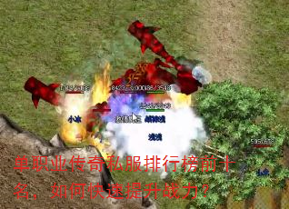 ��ְҵ����˽�����а�ǰʮ������ο�������ս����