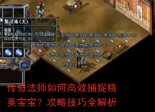 传奇法师如何高效捕捉精英宝宝?攻略技巧全解析 传奇法师如何高效捕捉精英宝宝?攻略技巧全解析