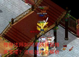 传奇法师如何高效捕捉精英宝宝?攻略技巧全解析 传奇法师如何高效捕捉精英宝宝?攻略技巧全解析