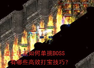 ��ʿ�����ε���BOSS������Щ��Ч�򱦼��ɣ�