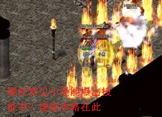 哪些常见小怪能爆出技能书?速刷攻略在此 哪些常见小怪能爆出技能书?速刷攻略在此