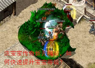 洗宝宝传奇新开网站,如何快速提升宝宝等级? 洗宝宝传奇新开网站,如何快速提升宝宝等级?