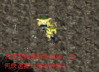 洗宝宝传奇新开网站,如何快速提升宝宝等级? 洗宝宝传奇新开网站,如何快速提升宝宝等级?