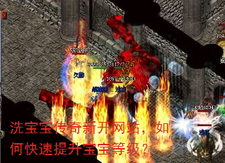 洗宝宝传奇新开网站,如何快速提升宝宝等级? 洗宝宝传奇新开网站,如何快速提升宝宝等级?