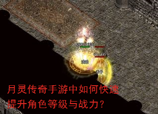 ���鴫����������ο���������ɫ�ȼ���ս����