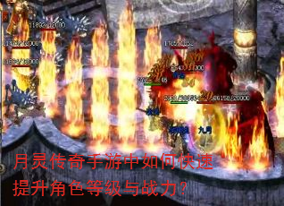���鴫����������ο���������ɫ�ȼ���ս����
