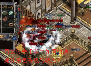 ���鴫����������ο���������ɫ�ȼ���ս����