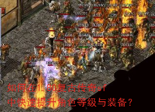 �����1.80���Ŵ���sf�п���������ɫ�ȼ���װ����