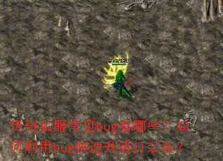 ����˽������bug����Щ���������bug����������װ����