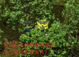 如何打造长期稳定单职业传奇的顶级角色? 如何打造长期稳定单职业传奇的顶级角色?