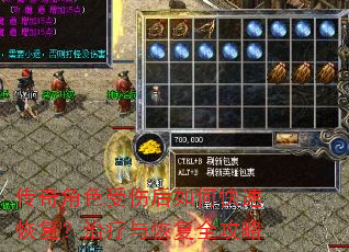 传奇角色受伤后如何快速恢复?治疗与恢复全攻略 传奇角色受伤后如何快速恢复?治疗与恢复全攻略
