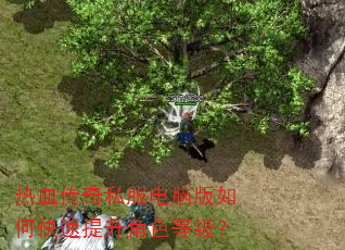 热血传奇私服电脑版如何快速提升角色等级? 热血传奇私服电脑版如何快速提升角色等级?