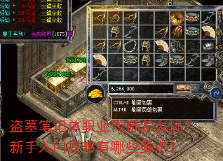 ��Ĺ�ʼǵ�ְҵ������ô�棿�������Ź�������ЩҪ�㣿