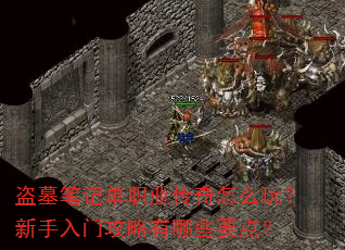 ��Ĺ�ʼǵ�ְҵ������ô�棿�������Ź�������ЩҪ�㣿