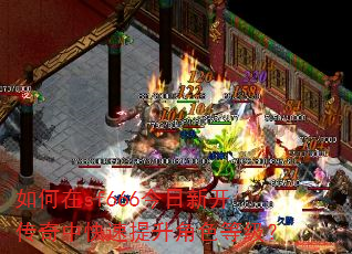 如何在sf666今日新开传奇中快速提升角色等级? 如何在sf666今日新开传奇中快速提升角色等级?