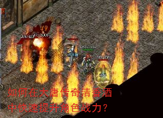 如何在大唐传奇清香酒中快速提升角色战力? 如何在大唐传奇清香酒中快速提升角色战力?