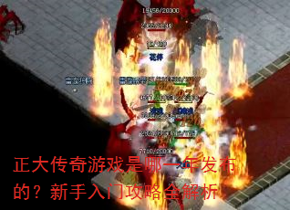 ��������Ϸ����һ�귢���ģ��������Ź���ȫ����