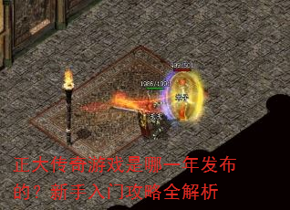 ��������Ϸ����һ�귢���ģ��������Ź���ȫ����