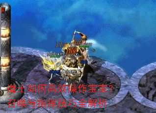 道士如何高效操作宝宝?召唤与指挥技巧全解析 道士如何高效操作宝宝?召唤与指挥技巧全解析