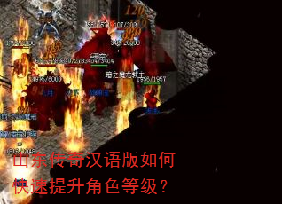 山东传奇汉语版如何快速提升角色等级? 山东传奇汉语版如何快速提升角色等级?